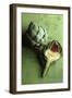 A Whole and a Half Artichoke on Green Background-Studio DHS-Framed Photographic Print