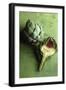 A Whole and a Half Artichoke on Green Background-Studio DHS-Framed Photographic Print