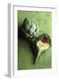 A Whole and a Half Artichoke on Green Background-Studio DHS-Framed Photographic Print