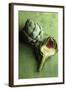 A Whole and a Half Artichoke on Green Background-Studio DHS-Framed Photographic Print