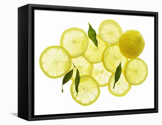 A Whole Lemon, Lemon Slices and Leaves-Petr Gross-Framed Stretched Canvas