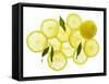 A Whole Lemon, Lemon Slices and Leaves-Petr Gross-Framed Stretched Canvas