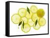 A Whole Lemon, Lemon Slices and Leaves-Petr Gross-Framed Stretched Canvas