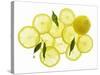 A Whole Lemon, Lemon Slices and Leaves-Petr Gross-Stretched Canvas