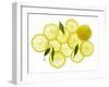 A Whole Lemon, Lemon Slices and Leaves-Petr Gross-Framed Premium Photographic Print