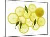 A Whole Lemon, Lemon Slices and Leaves-Petr Gross-Mounted Premium Photographic Print