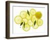A Whole Lemon, Lemon Slices and Leaves-Petr Gross-Framed Photographic Print
