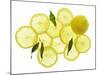 A Whole Lemon, Lemon Slices and Leaves-Petr Gross-Mounted Photographic Print