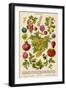 A Whole Page of Berries-null-Framed Art Print