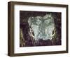 A wild American alligator (Alligator mississippiensis), at night in Shark Valley, USA-Michael Nolan-Framed Photographic Print