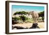 A Wild Cheetah about to Attack, Hunt, Sitting on a Dead Tree. Safari in Serengeti, Tanzania, Africa-Michal Bednarek-Framed Photographic Print