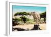 A Wild Cheetah about to Attack, Hunt, Sitting on a Dead Tree. Safari in Serengeti, Tanzania, Africa-Michal Bednarek-Framed Photographic Print