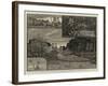 A Wild Garden at Weybridge-null-Framed Giclee Print