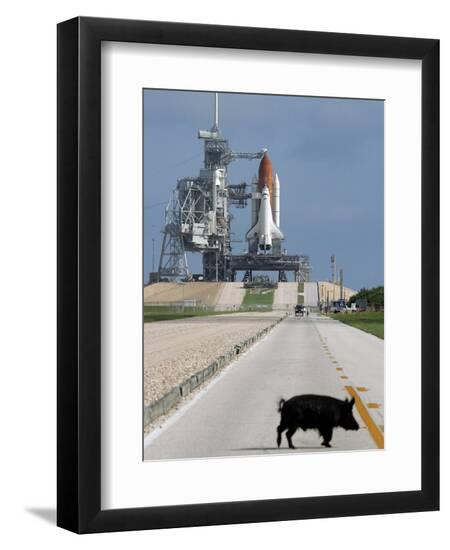 Premium Photographic Print, , large