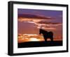 A Wild Horse Lingers at the Edge of the Badlands Near Fryburg, N.D.-Ruth Plunkett-Framed Premium Photographic Print