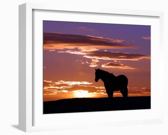 A Wild Horse Lingers at the Edge of the Badlands Near Fryburg, N.D.-Ruth Plunkett-Framed Premium Photographic Print