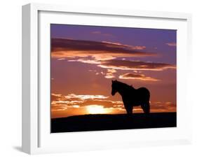 A Wild Horse Lingers at the Edge of the Badlands Near Fryburg, N.D.-Ruth Plunkett-Framed Premium Photographic Print