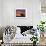 A Wild Horse Lingers at the Edge of the Badlands Near Fryburg, N.D.-Ruth Plunkett-Framed Photographic Print displayed on a wall