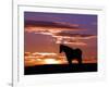 A Wild Horse Lingers at the Edge of the Badlands Near Fryburg, N.D.-Ruth Plunkett-Framed Photographic Print