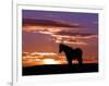 A Wild Horse Lingers at the Edge of the Badlands Near Fryburg, N.D.-Ruth Plunkett-Framed Photographic Print