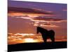 A Wild Horse Lingers at the Edge of the Badlands Near Fryburg, N.D.-Ruth Plunkett-Mounted Photographic Print