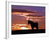 A Wild Horse Lingers at the Edge of the Badlands Near Fryburg, N.D.-Ruth Plunkett-Framed Photographic Print