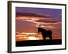 A Wild Horse Lingers at the Edge of the Badlands Near Fryburg, N.D.-Ruth Plunkett-Framed Photographic Print