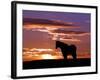 A Wild Horse Lingers at the Edge of the Badlands Near Fryburg, N.D.-Ruth Plunkett-Framed Photographic Print