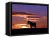 A Wild Horse Lingers at the Edge of the Badlands-null-Framed Stretched Canvas