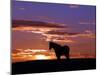 A Wild Horse Lingers at the Edge of the Badlands-null-Mounted Photographic Print