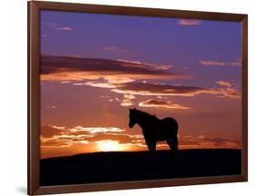 A Wild Horse Lingers at the Edge of the Badlands-null-Framed Photographic Print