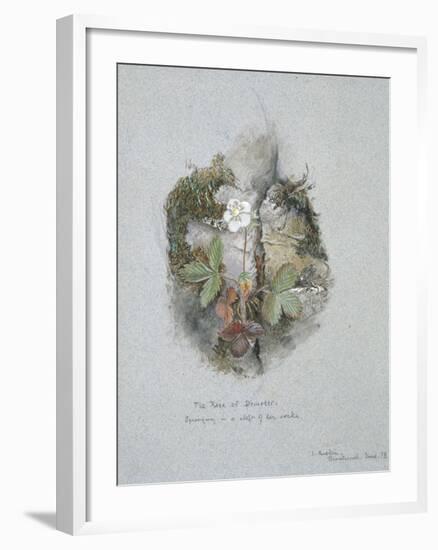 A Wild Strawberry Plant-John Ruskin-Framed Giclee Print