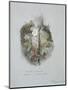 A Wild Strawberry Plant-John Ruskin-Mounted Giclee Print