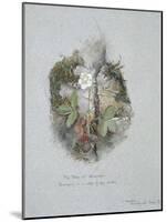 A Wild Strawberry Plant-John Ruskin-Mounted Giclee Print