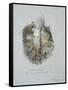 A Wild Strawberry Plant-John Ruskin-Framed Stretched Canvas
