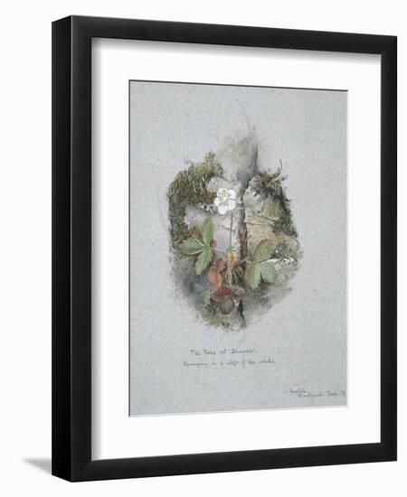 A Wild Strawberry Plant-John Ruskin-Framed Premium Giclee Print