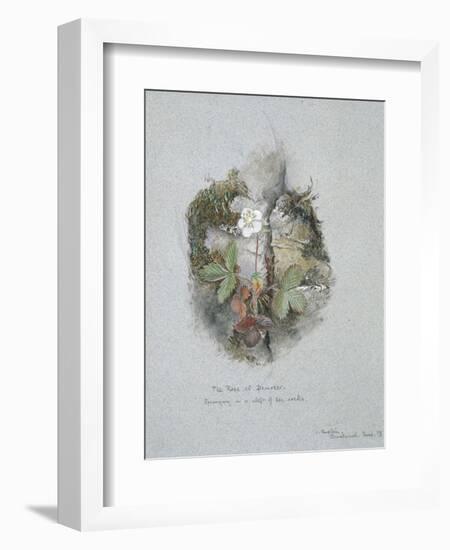 A Wild Strawberry Plant-John Ruskin-Framed Premium Giclee Print