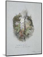 A Wild Strawberry Plant-John Ruskin-Mounted Premium Giclee Print