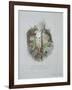 A Wild Strawberry Plant-John Ruskin-Framed Giclee Print