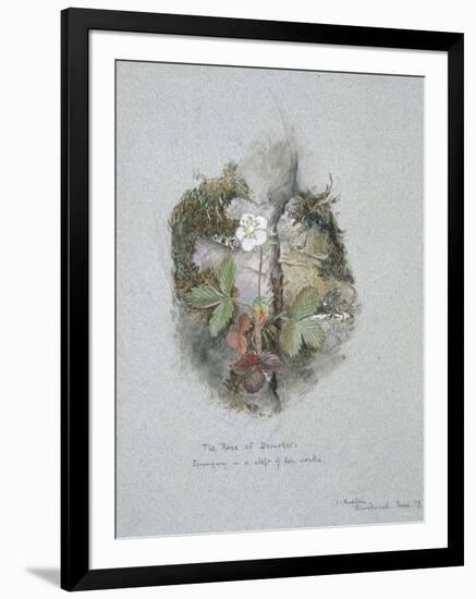 A Wild Strawberry Plant-John Ruskin-Framed Giclee Print