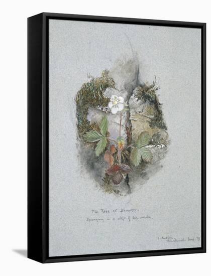A Wild Strawberry Plant-John Ruskin-Framed Stretched Canvas