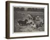 A Windfall-Carl Reichert-Framed Giclee Print