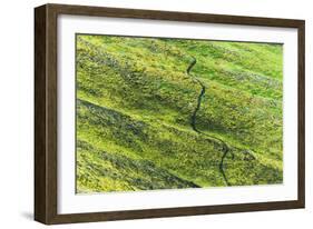 A winding path in the mountain, Landmannalaugar, Iceland-Keren Su-Framed Photographic Print