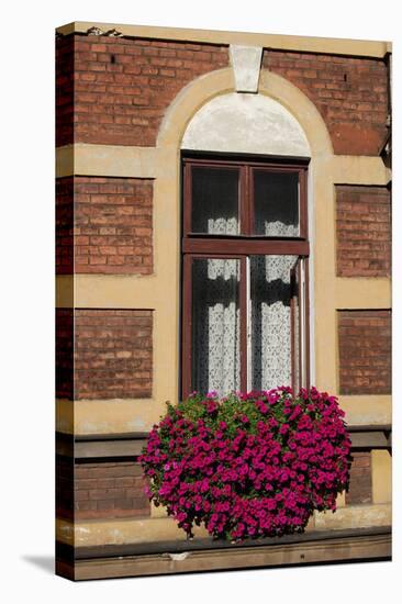 A Window in Krakow-neuartelena-Stretched Canvas