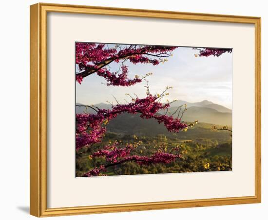 A Window on Spring-Marco Carmassi-Framed Photographic Print