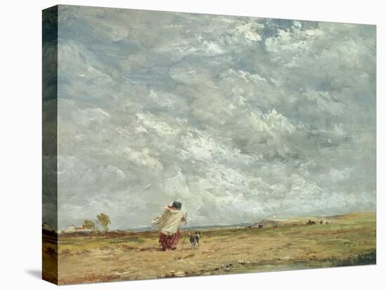 A Windy Day, 1850-David Cox-Stretched Canvas