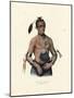 A Winnebago Chief-McKenny & Hall-Mounted Art Print