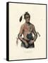 A Winnebago Chief-McKenny & Hall-Framed Stretched Canvas