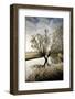 A Winter Flood with Hoar Frost Occurs at the Source of the River Thames at Waterhay-Charles Bowman-Framed Photographic Print