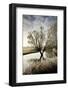 A Winter Flood with Hoar Frost Occurs at the Source of the River Thames at Waterhay-Charles Bowman-Framed Photographic Print